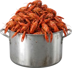 Boiled Crawfish